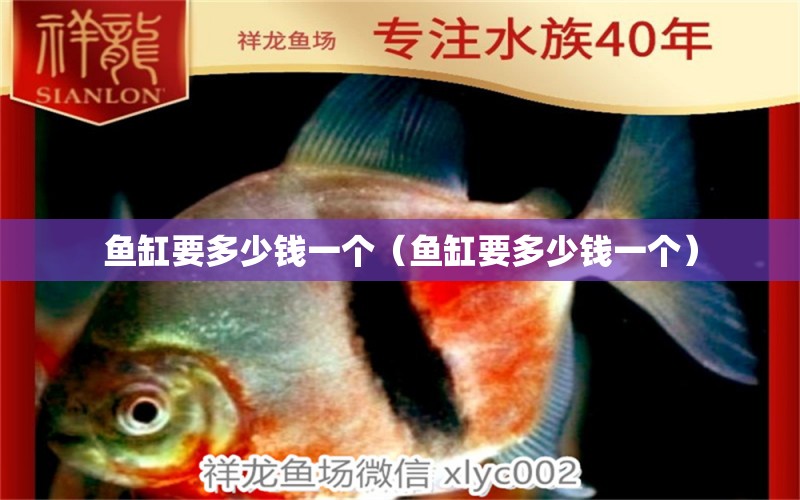 鱼缸要多少钱一个（鱼缸要多少钱一个） 祥龙水族医院