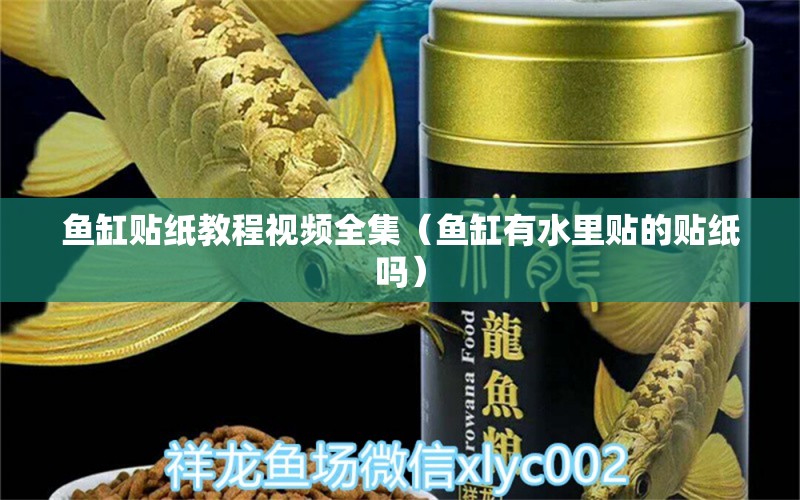 鱼缸贴纸教程视频全集（鱼缸有水里贴的贴纸吗） 水族品牌 第1张