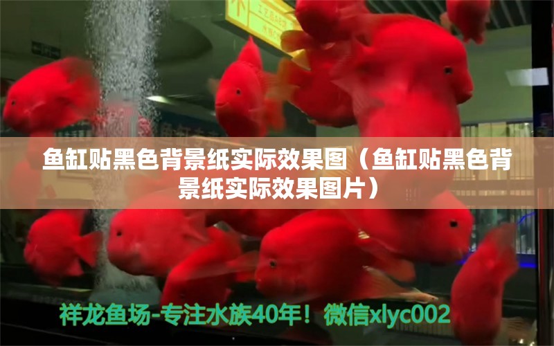 鱼缸贴黑色背景纸实际效果图（鱼缸贴黑色背景纸实际效果图片）