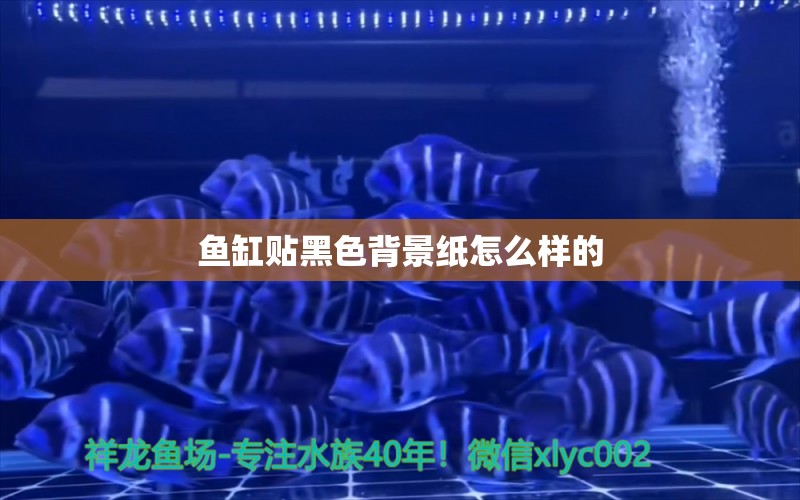 鱼缸贴黑色背景纸怎么样的 水族问答 第2张