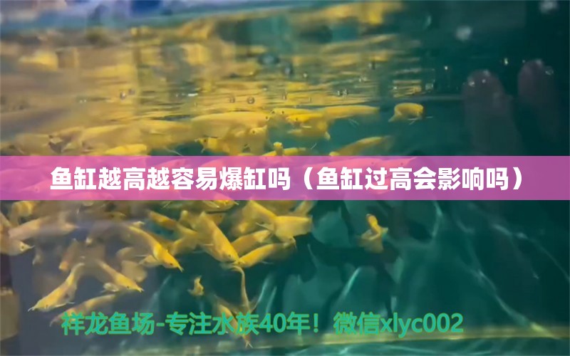 鱼缸越高越容易爆缸吗（鱼缸过高会影响吗）