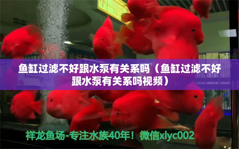 鱼缸过滤不好跟水泵有关系吗（鱼缸过滤不好跟水泵有关系吗视频）