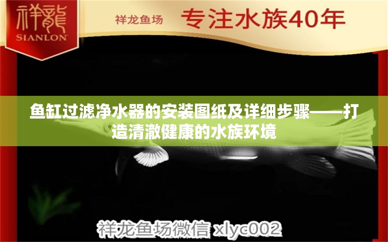 鱼缸过滤净水器的安装图纸及详细步骤——打造清澈健康的水族环境 观赏鱼市场（混养鱼） 第1张