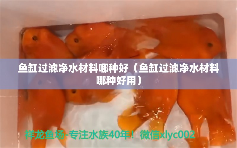 鱼缸过滤净水材料哪种好（鱼缸过滤净水材料哪种好用）