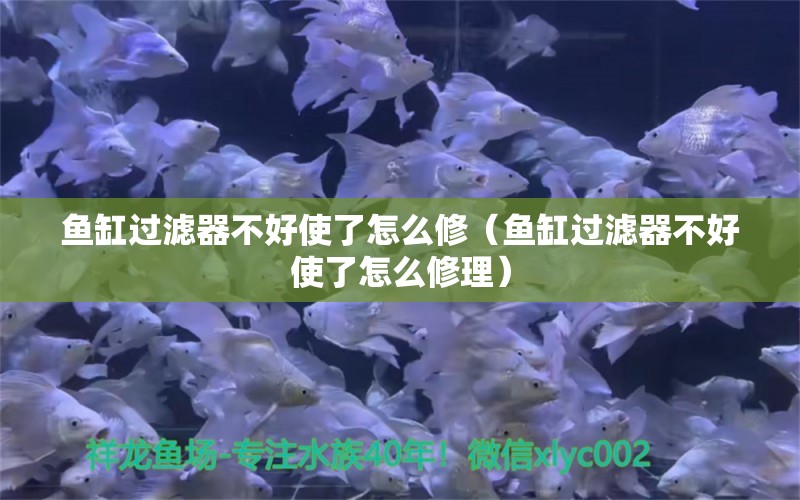 鱼缸过滤器不好使了怎么修（鱼缸过滤器不好使了怎么修理）