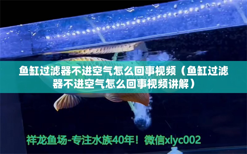 鱼缸过滤器不进空气怎么回事视频（鱼缸过滤器不进空气怎么回事视频讲解） 观赏鱼水族批发市场