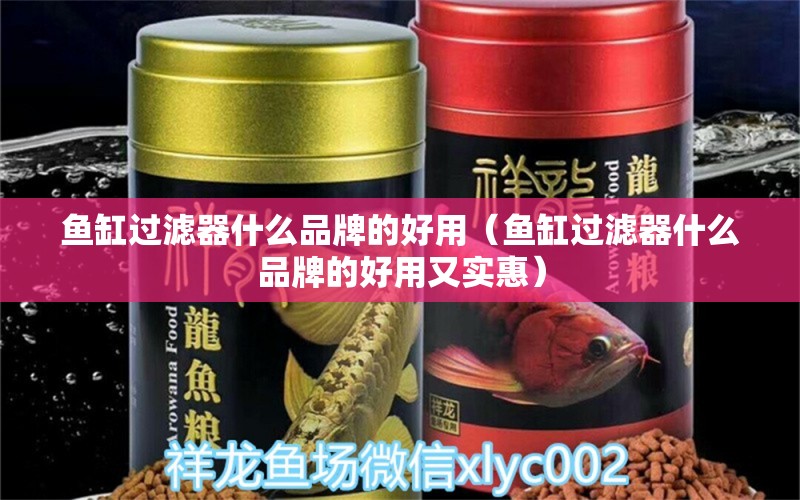 鱼缸过滤器什么品牌的好用（鱼缸过滤器什么品牌的好用又实惠）