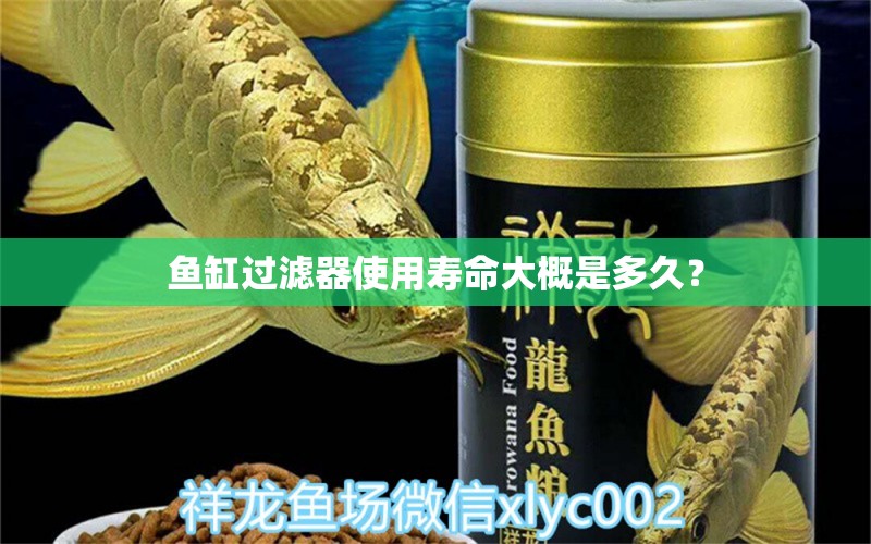 鱼缸过滤器使用寿命大概是多久？