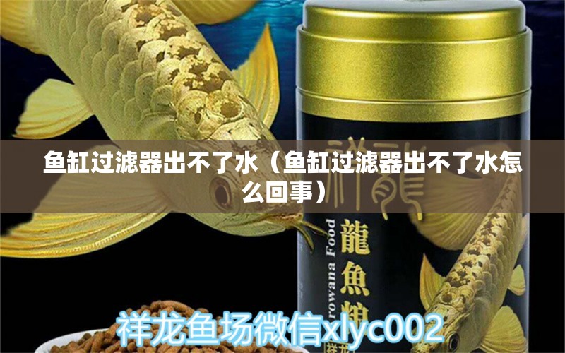 鱼缸过滤器出不了水（鱼缸过滤器出不了水怎么回事）