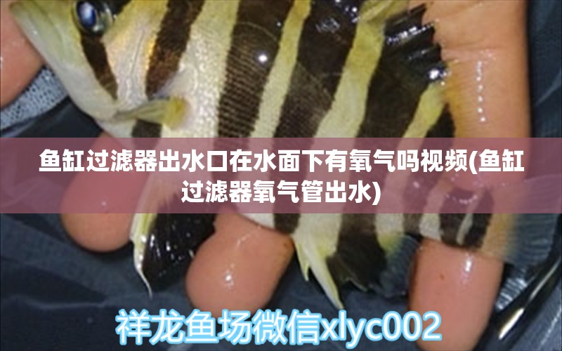 鱼缸过滤器出水口在水面下有氧气吗视频(鱼缸过滤器氧气管出水) 生态瓶/创意缸/桌面微景缸