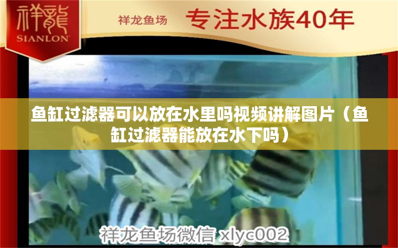 鱼缸过滤器可以放在水里吗视频讲解图片（鱼缸过滤器能放在水下吗）