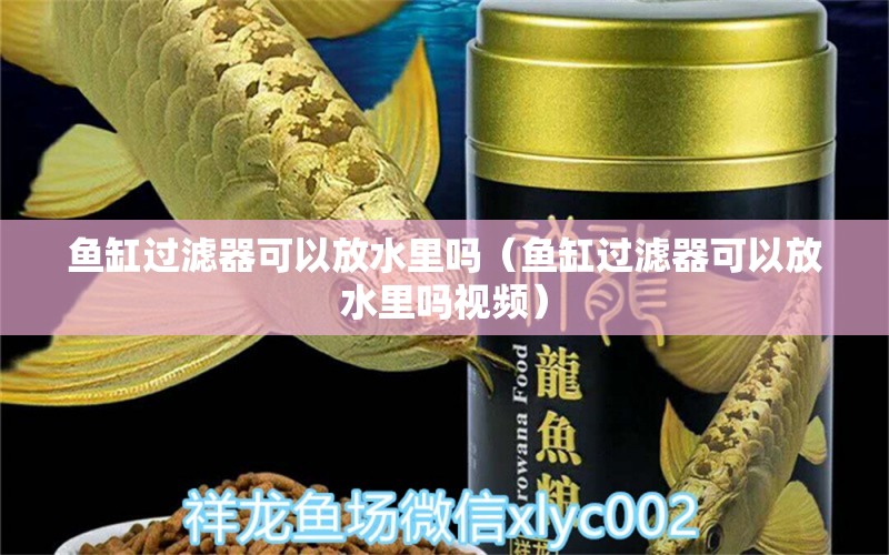 鱼缸过滤器可以放水里吗（鱼缸过滤器可以放水里吗视频）