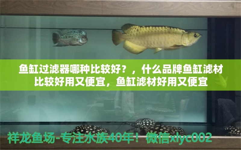 鱼缸过滤器哪种比较好？，什么品牌鱼缸滤材比较好用又便宜，鱼缸滤材好用又便宜 龙鱼疾病与治疗 第1张