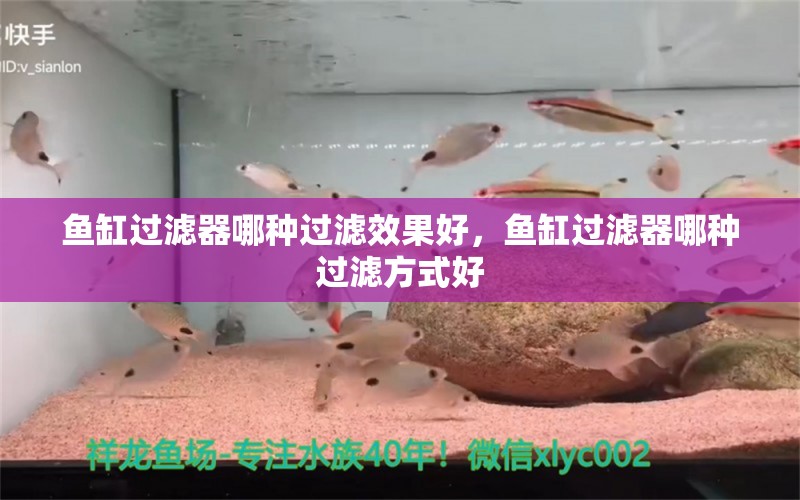 鱼缸过滤器哪种过滤效果好，鱼缸过滤器哪种过滤方式好