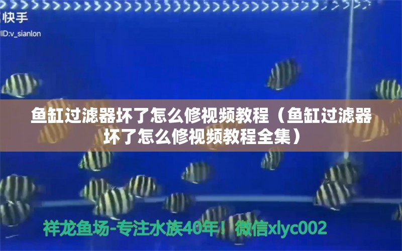 鱼缸过滤器坏了怎么修视频教程（鱼缸过滤器坏了怎么修视频教程全集） 其他品牌鱼缸