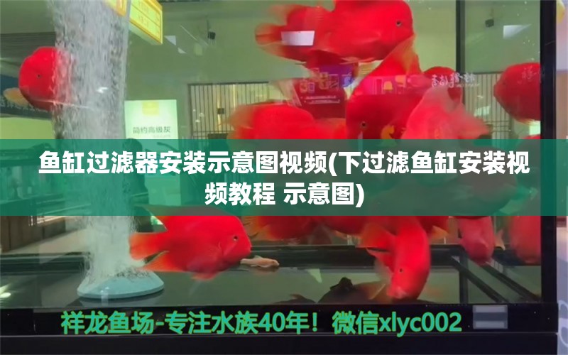 鱼缸过滤器安装示意图视频(下过滤鱼缸安装视频教程 示意图)