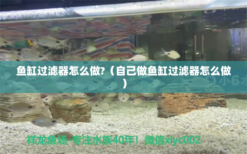 鱼缸过滤器怎么做?（自己做鱼缸过滤器怎么做） 观赏鱼市场（混养鱼）