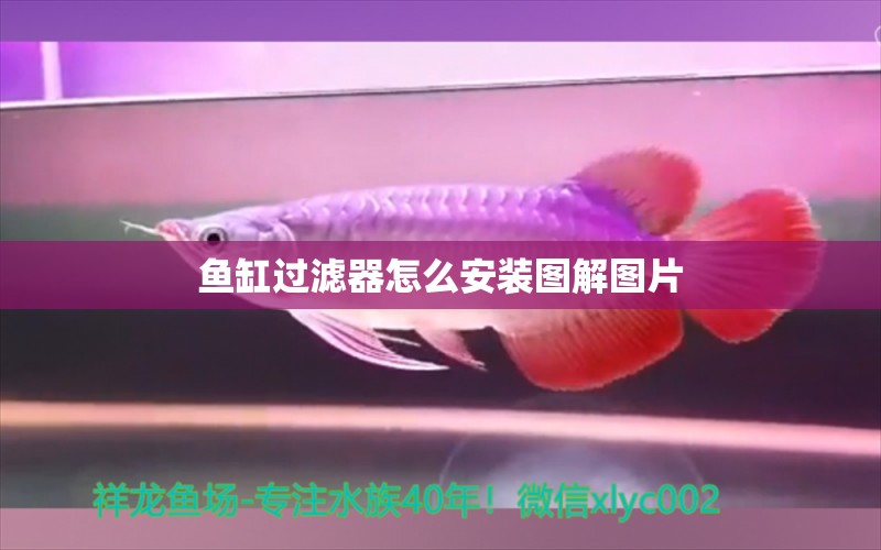 鱼缸过滤器怎么安装图解图片