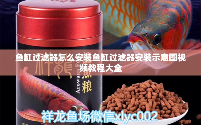 鱼缸过滤器怎么安装鱼缸过滤器安装示意图视频教程大全 养鱼知识