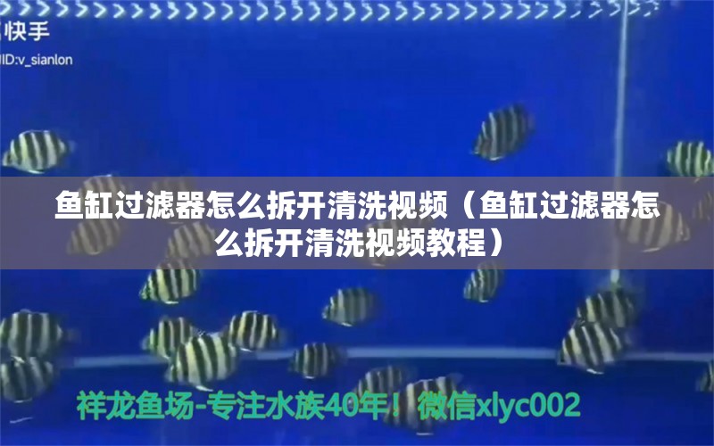 鱼缸过滤器怎么拆开清洗视频（鱼缸过滤器怎么拆开清洗视频教程） 其他品牌鱼缸