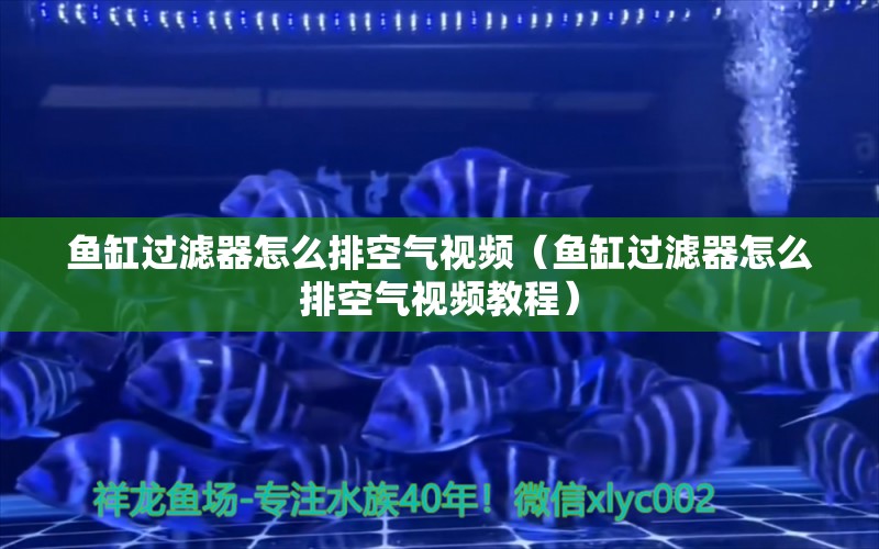 鱼缸过滤器怎么排空气视频（鱼缸过滤器怎么排空气视频教程）