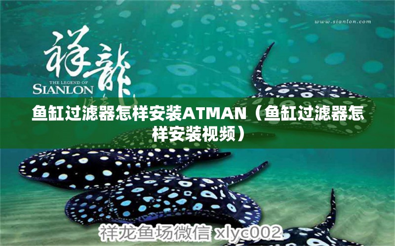 鱼缸过滤器怎样安装ATMAN（鱼缸过滤器怎样安装视频） 祥龙水族医院