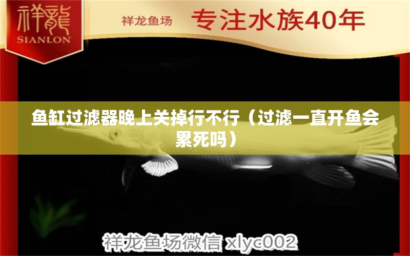 鱼缸过滤器晚上关掉行不行（过滤一直开鱼会累死吗） 祥龙水族医院