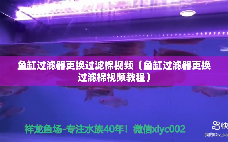 鱼缸过滤器更换过滤棉视频（鱼缸过滤器更换过滤棉视频教程） 其他品牌鱼缸