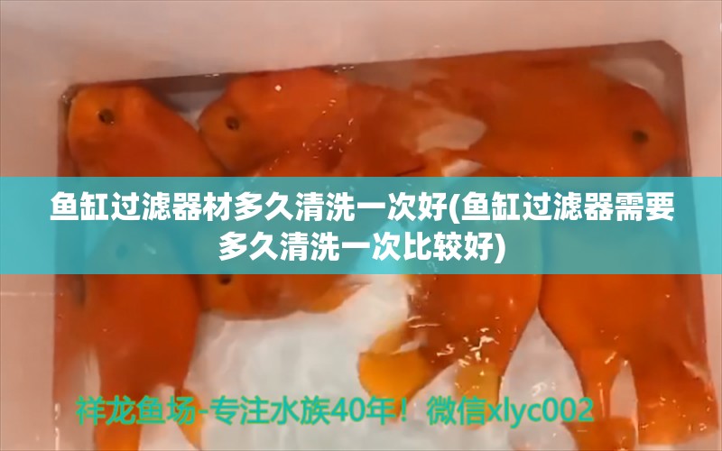 鱼缸过滤器材多久清洗一次好(鱼缸过滤器需要多久清洗一次比较好)