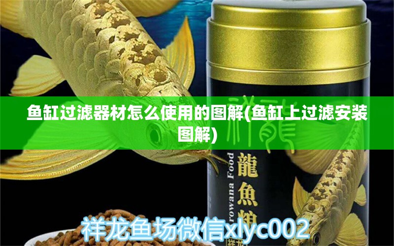 鱼缸过滤器材怎么使用的图解(鱼缸上过滤安装图解) 圣菲埃及鱼