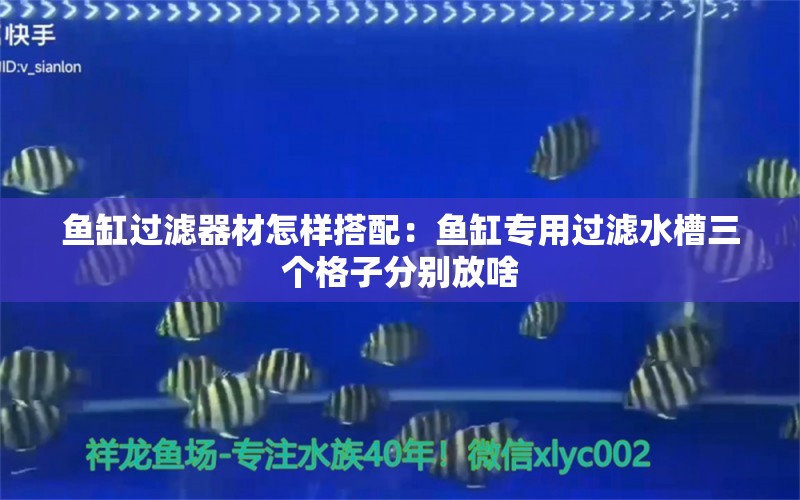 鱼缸过滤器材怎样搭配：鱼缸专用过滤水槽三个格子分别放啥