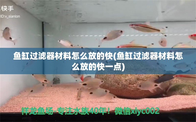 鱼缸过滤器材料怎么放的快(鱼缸过滤器材料怎么放的快一点) 白子银版鱼苗