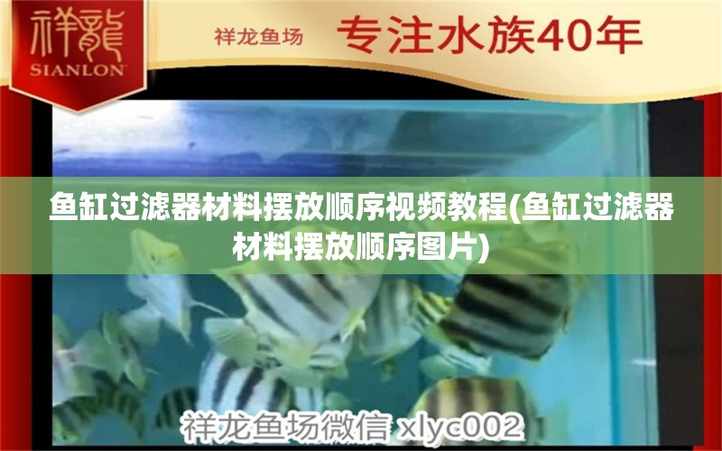 鱼缸过滤器材料摆放顺序视频教程(鱼缸过滤器材料摆放顺序图片)