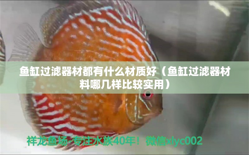 鱼缸过滤器材都有什么材质好（鱼缸过滤器材料哪几样比较实用） 水族品牌 第1张