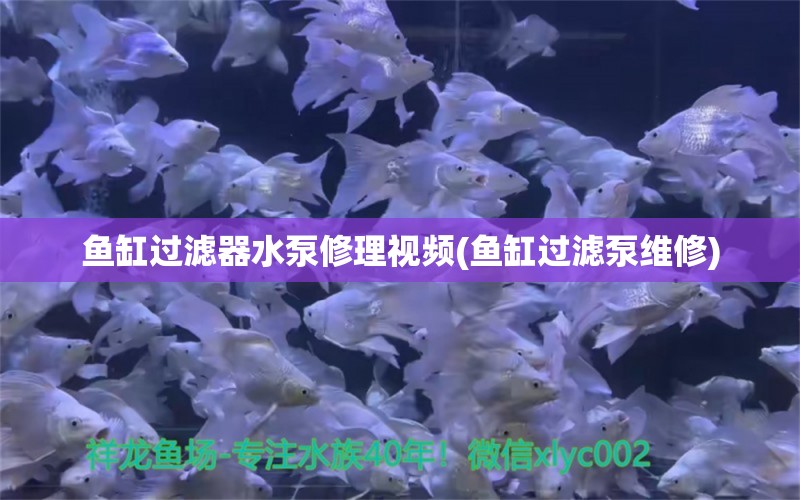 鱼缸过滤器水泵修理视频(鱼缸过滤泵维修)