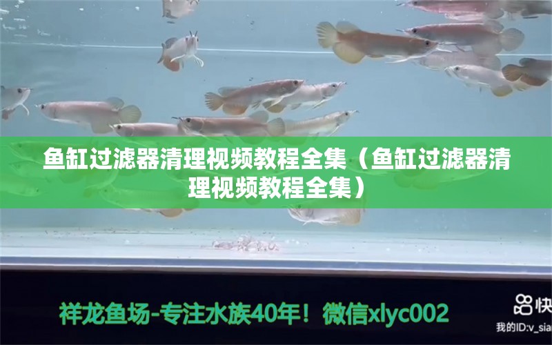 鱼缸过滤器清理视频教程全集（鱼缸过滤器清理视频教程全集） 其他品牌鱼缸