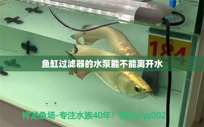 鱼缸过滤器的水泵能不能离开水 水族问答