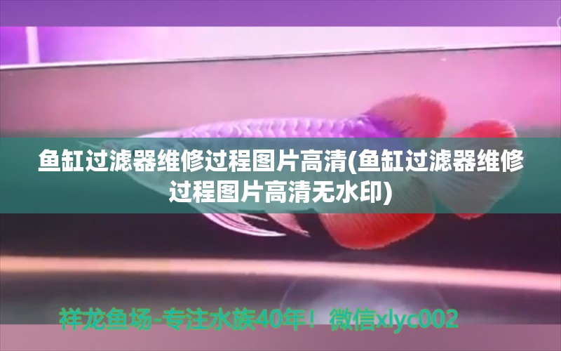 鱼缸过滤器维修过程图片高清(鱼缸过滤器维修过程图片高清无水印) 巴卡雷龙鱼 第1张