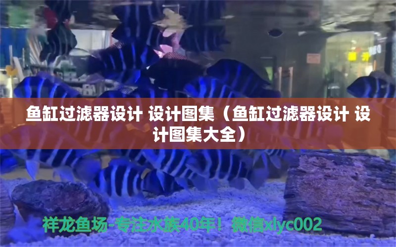 鱼缸过滤器设计 设计图集（鱼缸过滤器设计 设计图集大全）