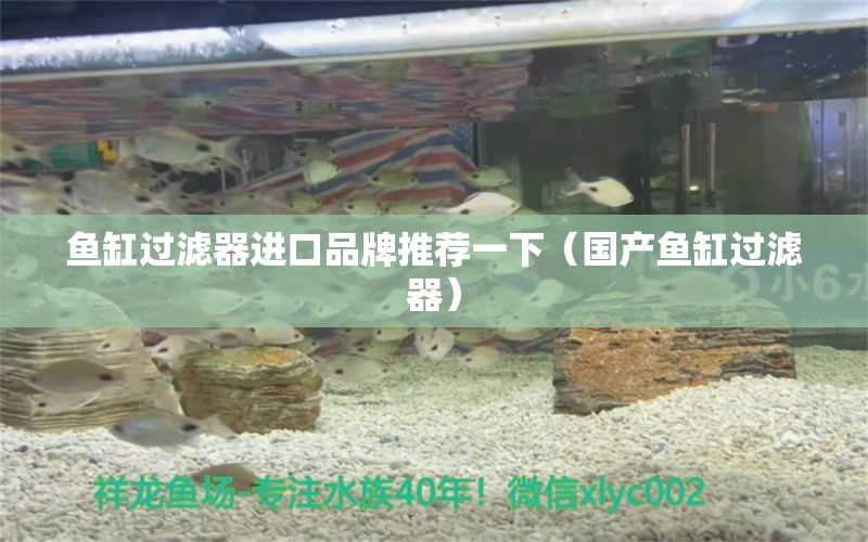 鱼缸过滤器进口品牌推荐一下（国产鱼缸过滤器） 养鱼知识 第1张