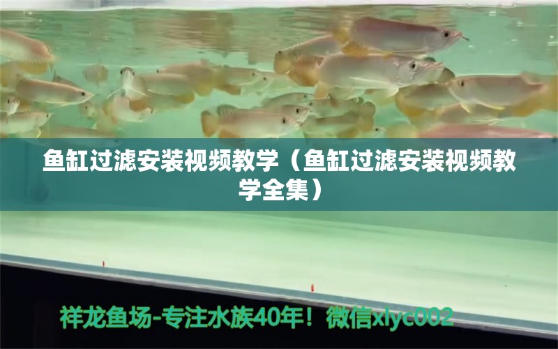 鱼缸过滤安装视频教学（鱼缸过滤安装视频教学全集）