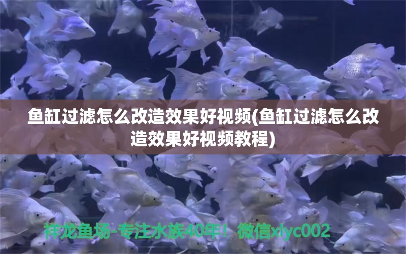 鱼缸过滤怎么改造效果好视频(鱼缸过滤怎么改造效果好视频教程)