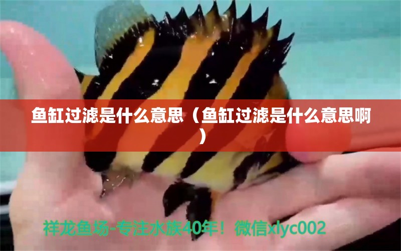 鱼缸过滤是什么意思（鱼缸过滤是什么意思啊） 祥龙水族医院