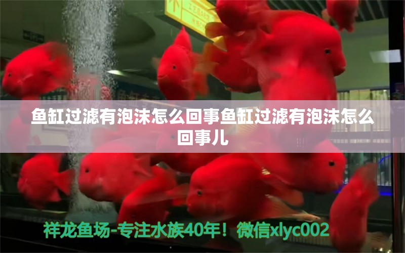 鱼缸过滤有泡沫怎么回事鱼缸过滤有泡沫怎么回事儿