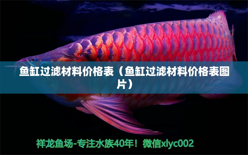 鱼缸过滤材料价格表（鱼缸过滤材料价格表图片） 红龙鱼鱼粮饲料 第1张