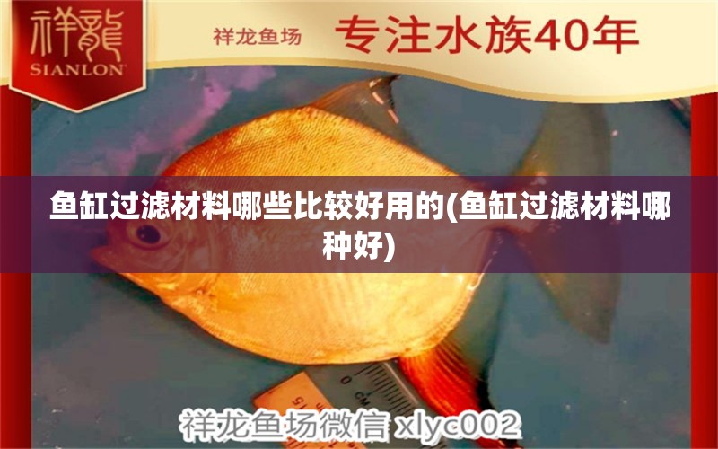 鱼缸过滤材料哪些比较好用的(鱼缸过滤材料哪种好)