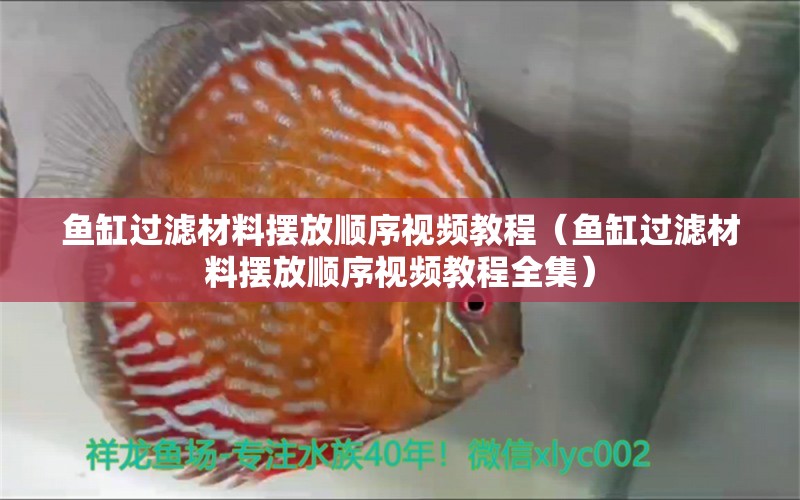 鱼缸过滤材料摆放顺序视频教程（鱼缸过滤材料摆放顺序视频教程全集）