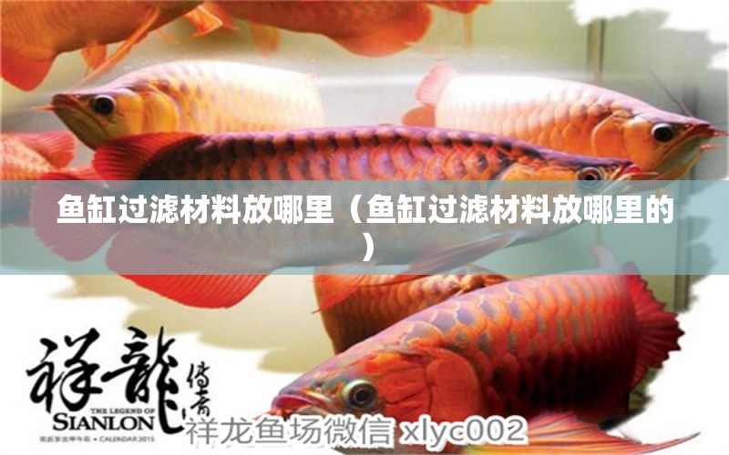 鱼缸过滤材料放哪里（鱼缸过滤材料放哪里的） 祥龙水族医院