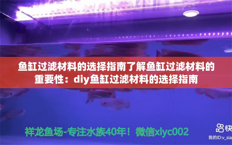 鱼缸过滤材料的选择指南了解鱼缸过滤材料的重要性：diy鱼缸过滤材料的选择指南 鱼缸百科 第2张