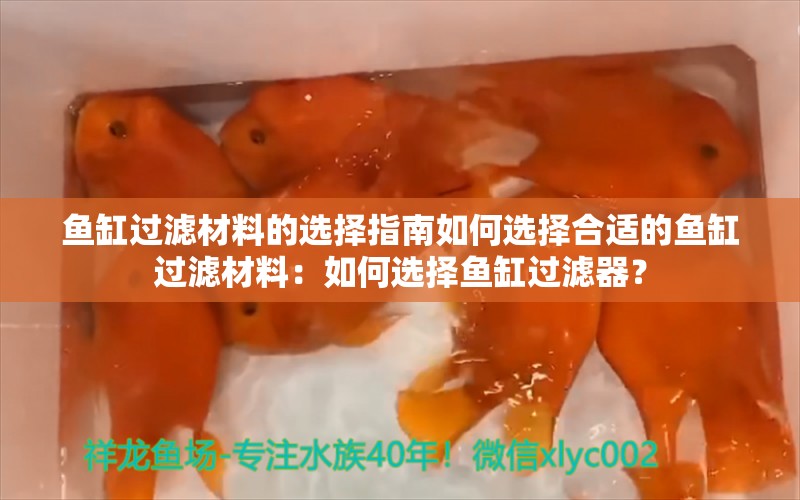 鱼缸过滤材料的选择指南如何选择合适的鱼缸过滤材料：如何选择鱼缸过滤器？